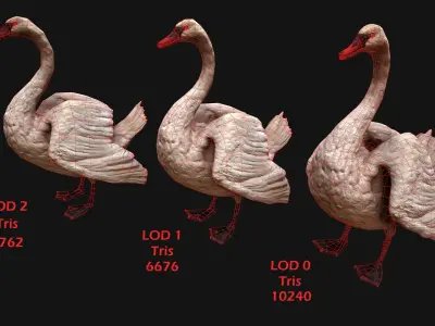Birds set  Swan Ducks Pheasant Low-poly 3D model
