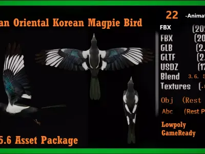 Asian Oriental Korean Magpie Bird Low-poly 3D model