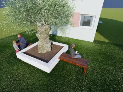Olive tree with seater olive europaea model 3D model