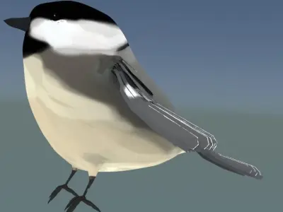  Black-capped chickadee  Low-poly 3D model
