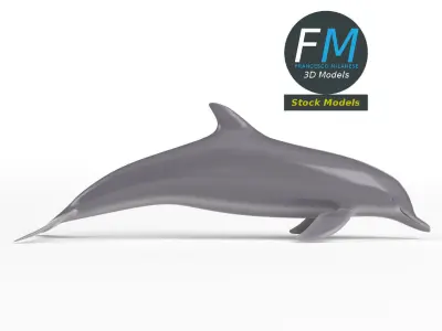 Stylized dolphin 3D model