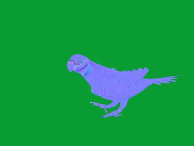 Macaw Parrot Bird Low-poly 3D model