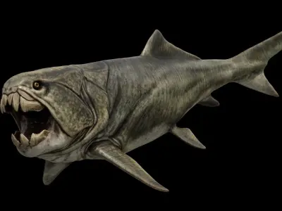 Dunkleosteus Prehistoric Fish Low-poly 3D model