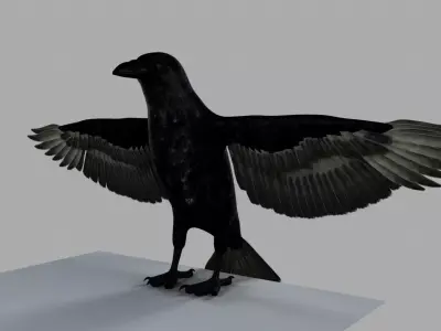 3D Crow raven with wings spread 3D model