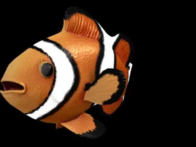 Clown Fish Game Ready Model with Animations Low-poly 3D model