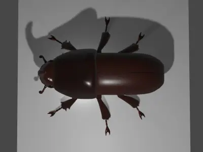 european rhino beetle Low-poly 3D model