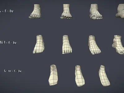 Human Parts Collection Low-poly 3D model