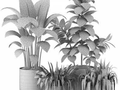 Indoor Plants in Ferm Living Bau Pot Large - Set018 3D model