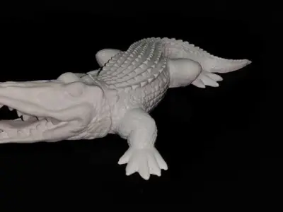 Crocodile hollow 3D print model