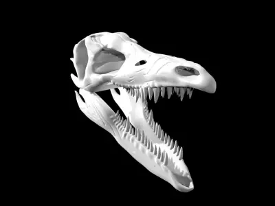Stegosaurus skull Low-poly 3D model