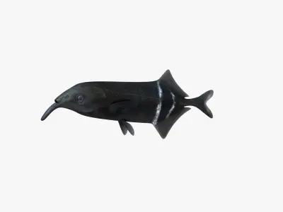 Long-Nosed Elephant Fish 3D model