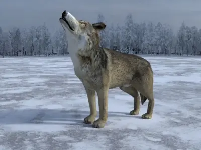 Gray Wolf Low-poly 3D model