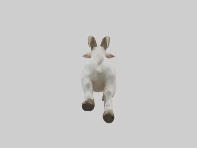 Goat Hopping Model Low-poly 3D model