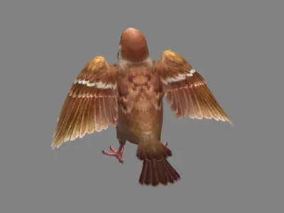 Cartoon sparrow Low-poly 3D model