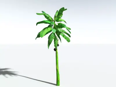 EVERYPlant Banana Plant LowPoly Low-poly 3D model