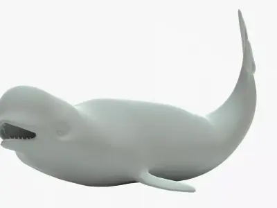 Beluga Whale Rigged Basemesh Low-poly 3D model