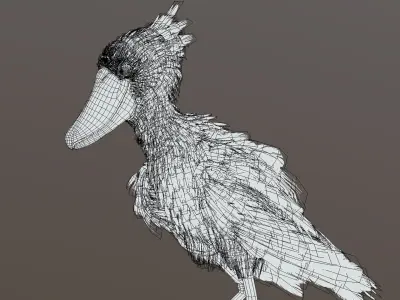 Shoebill  3D model