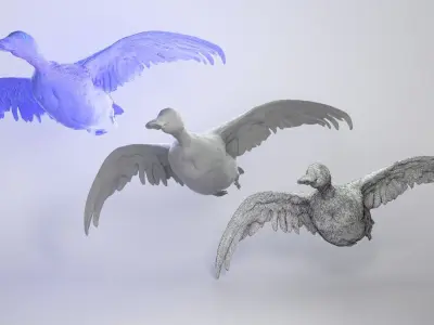 Flying duck 06 Low-poly 3D model