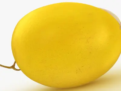 Golden&nbsp;Cantaloupe Cut 3D model