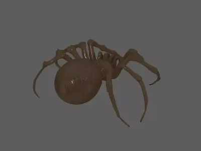 Spider  3D model
