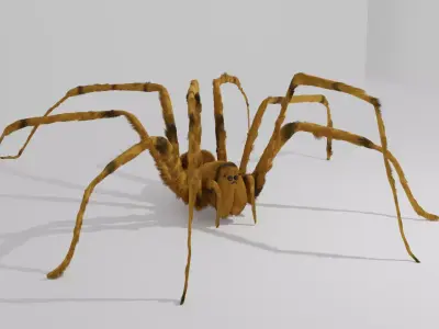 the gigant spider Low-poly 3D model