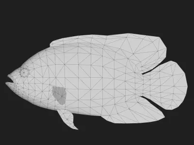 Cichlid Low-poly 3D model