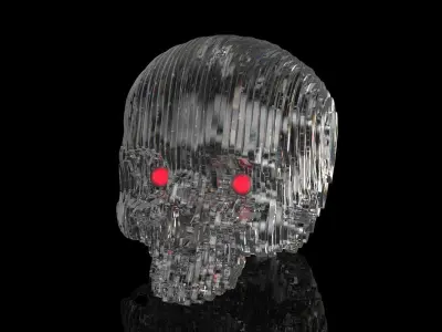 Solid Part Skull Free 3D model