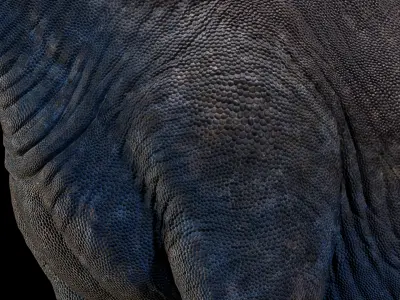 Argentinosaurus Animated 3D model