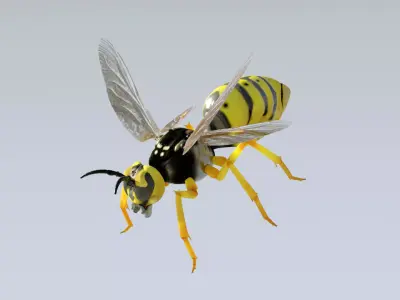 Wasp high poly flying in air Free 3D model