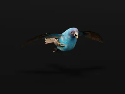 Indigo Bunting Blue Bird Low-poly 3D model