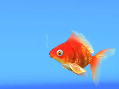 Gold Fish low-poly Low-poly 3D model