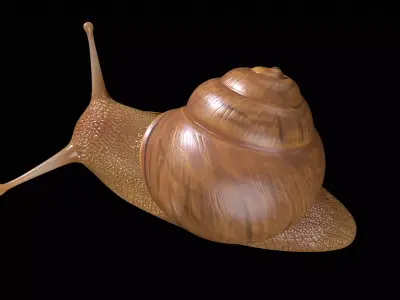 Snail PBR GameReady Model Low-poly 3D model