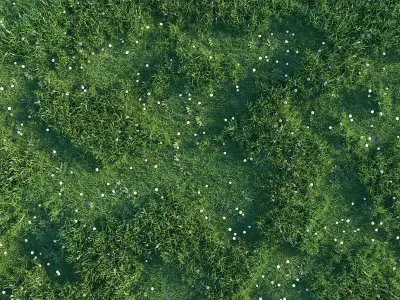 Grass set 3D model
