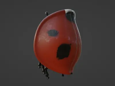 Cartoon Ladybug Not Rigged 3D model