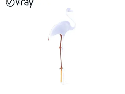 Decorative Flamingo Silhouette Model Pack Low-poly 3D model