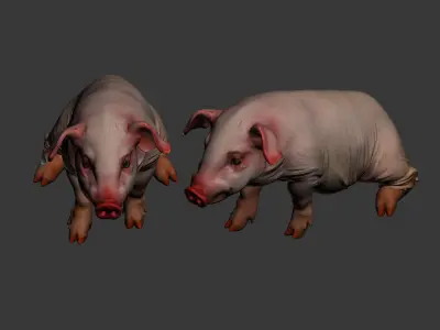 mammals 3D model