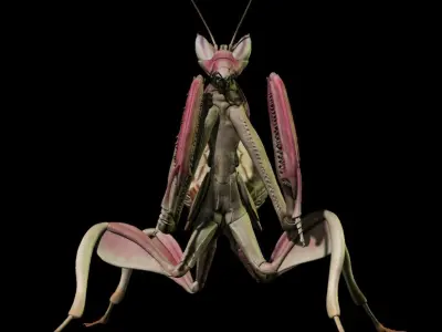  Orchid Mantis Nymph 3D model