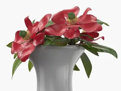 White Ceramic Vase with Red Magnolia Flowers 3D model