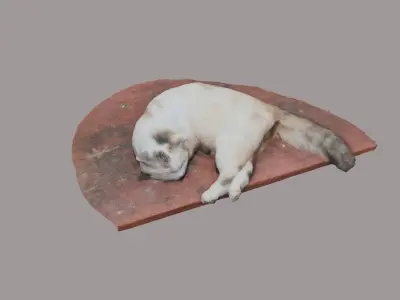 a sleeping cat 3d scanning Free low-poly 3D model