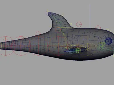 Rig Dolphin Low-poly 3D model