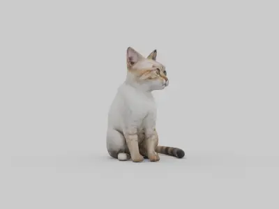 cute cat Low-poly 3D model