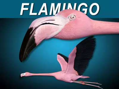 Flamingo Pink - Flight 3D model