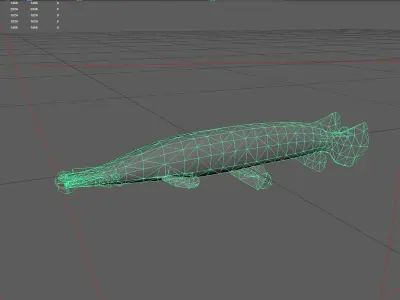 Alligatorgar Low-poly 3D model