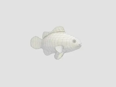 Clown Fish 3D model