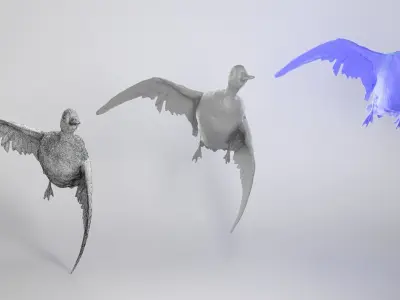 Flying duck 13 Low-poly 3D model