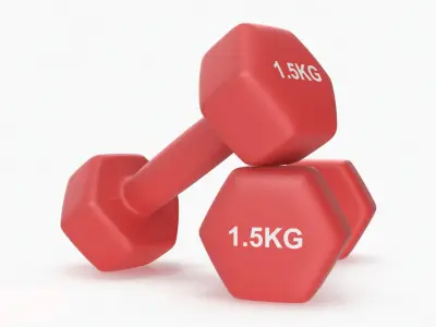 Plastic Fitness Dumbbells 1.5kg 3D model