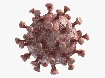 Coronavirus 2 COVID-19 3D model