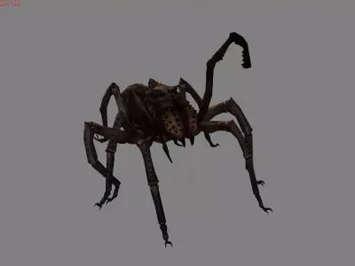 Spider I Animal Low-poly 3D model