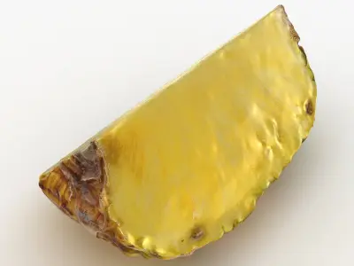 Pineapple Slice 3D model
