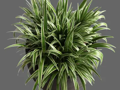 Plant Collection Rpm 05 3D model